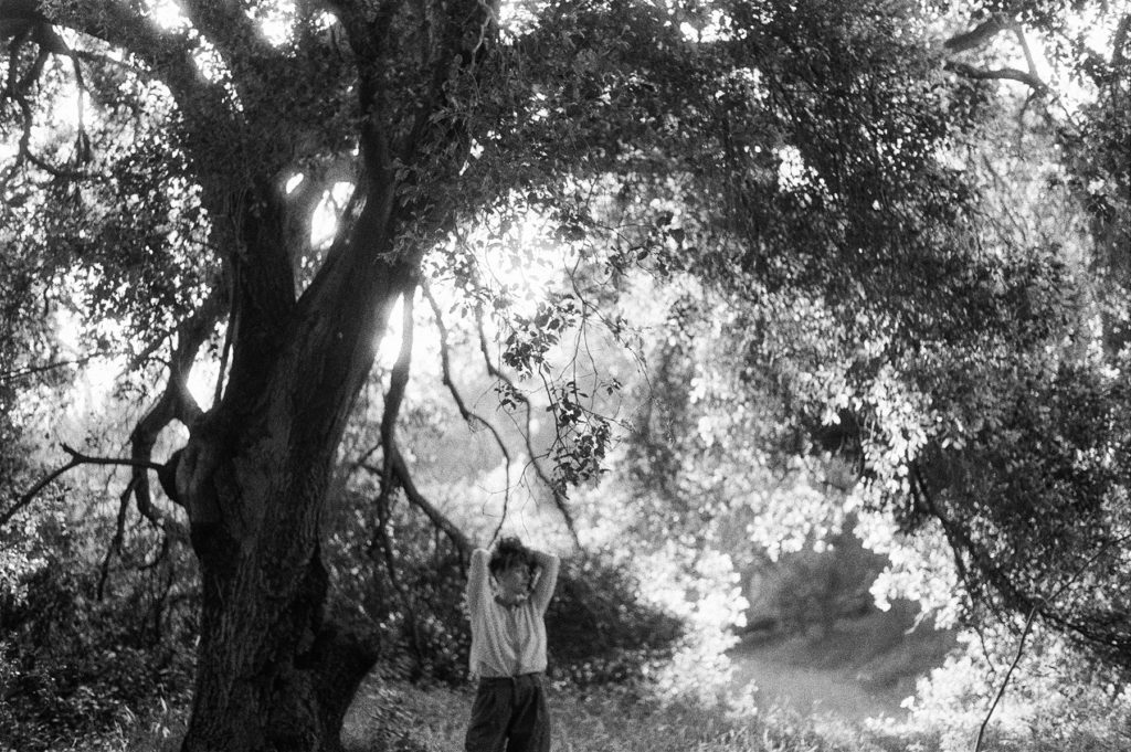 Black and white photo of a boy standing under a tree.