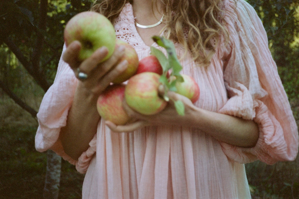 An Olympic Peninsula photographer captures a woman in a pink dress with a bunch of apples.