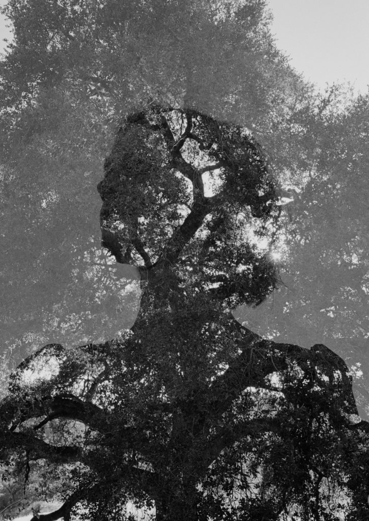 A black and white photo of a tree with a silhouette of a person.