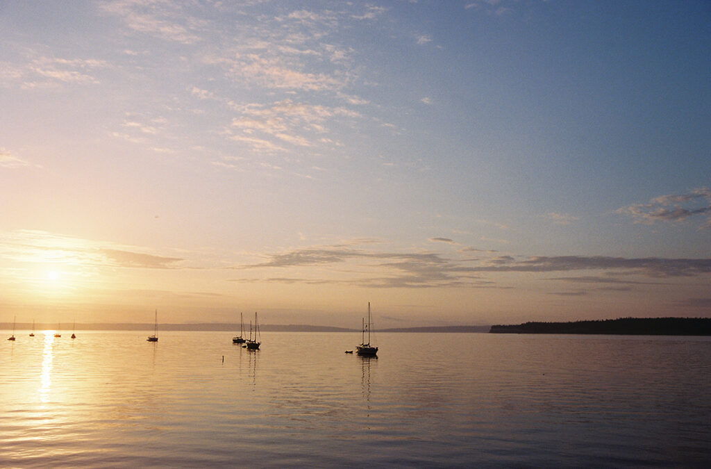 A group of sailboats in the water at sunset.