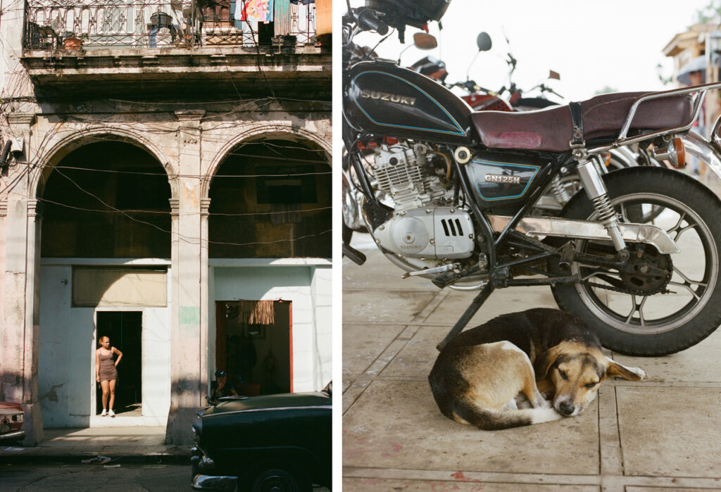 A person stands in a doorway of a weathered building alongside a scene of a dog resting beside a motorcycle on a city street.