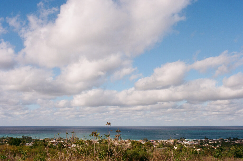 A coastal landscape with scattered clouds in a blue sky above a calm sea and a solitary palm tree standing out against a backdrop of vegetation.