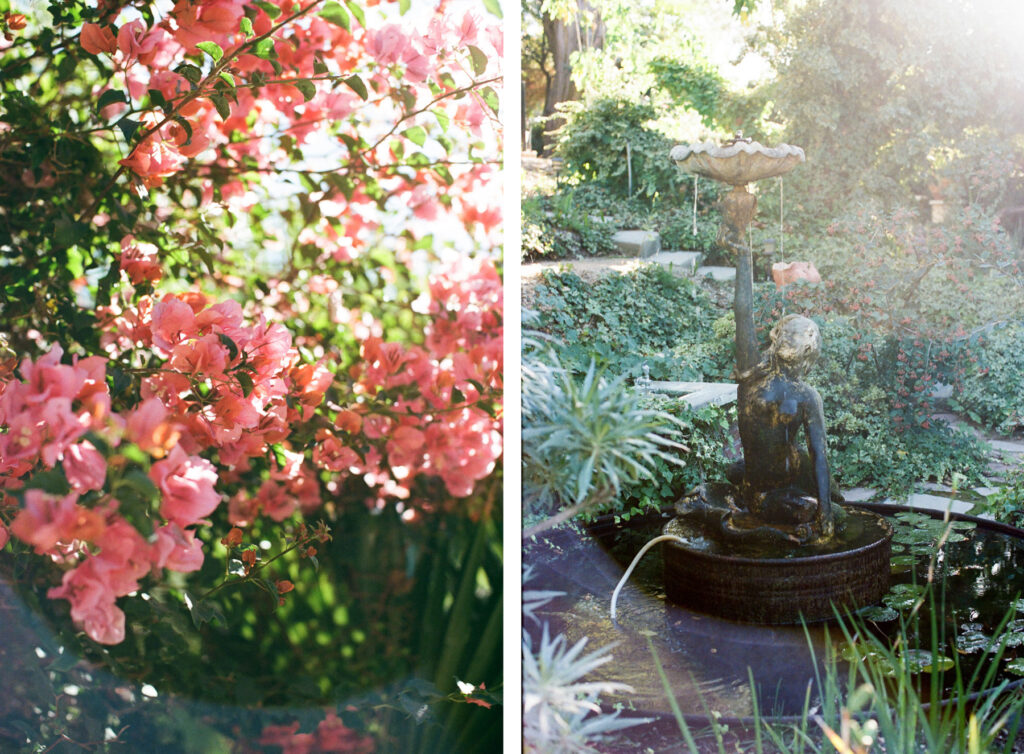 Blooming flowers in the sunlight with a serene garden fountain in the background.