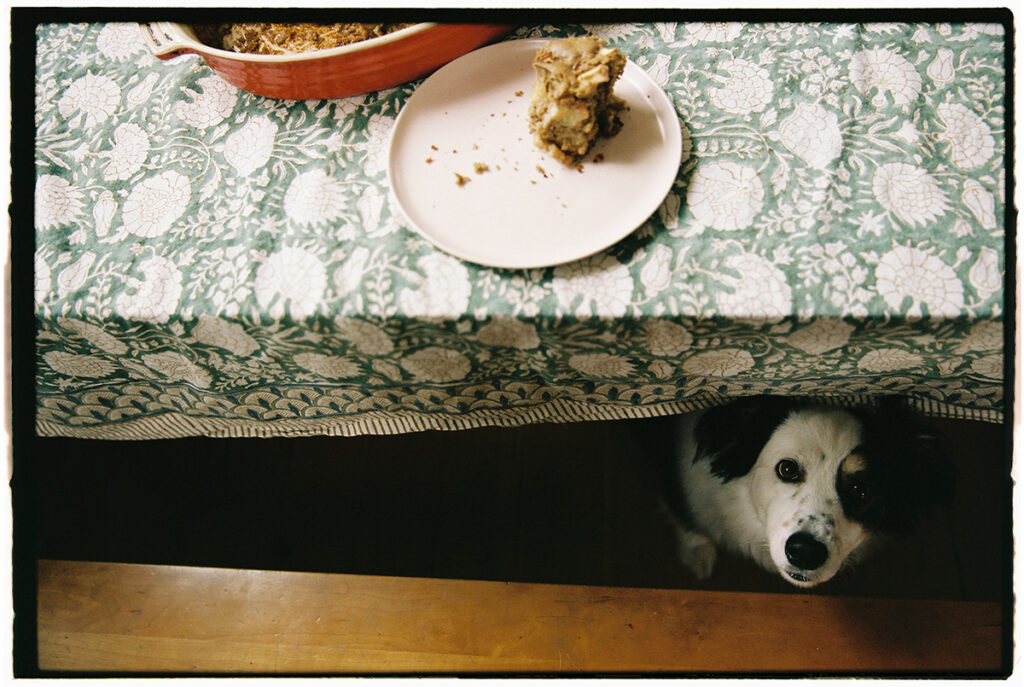 A dog peering from under a table at a plate with crumbs and a piece of cake.